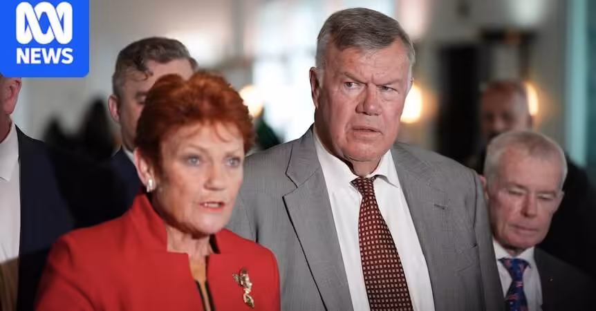 Pauline Hanson accuses Anthony Albanese of trying to divide One Nation with staffing offer